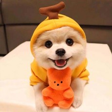 몬스펫 강아지 코스프레 후드티, 바나나, 1개