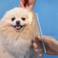 Babion 入門級 鋁製 雙面梳 190 x 40 公釐, 藍色, 1組