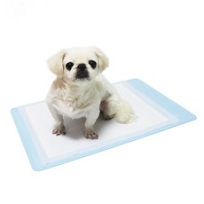 BROTHER PET 防滑狗防水馬桶墊, 1個, 藍色