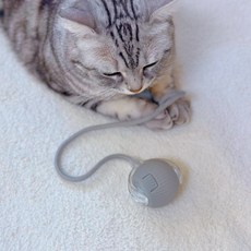 MAAH 고양이 혼자노는 자동 스마트 볼 장난감 로프 SCB-01, 그레이, 1개