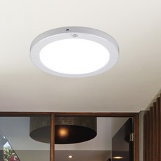 WONHA 固定式燈具 圓形側光 LED 20W 白光 無頻閃 感應燈 220 x 18 mm, 白色, 1個