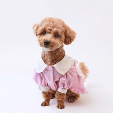 쁘띠도그 반려동물 디테 원피스 DSO054, 핑크, 1개