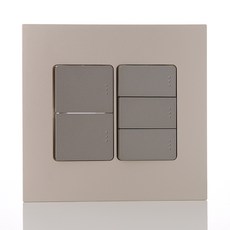 第一電氣工業 Adonis 阿多尼斯開關 香檳金 單切五開 雙聯用, 1個