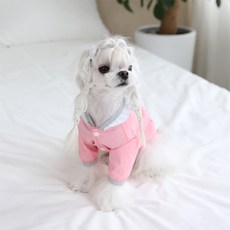 이츠독 반려동물 파스텔 윈디 점퍼, 핑크, 1개