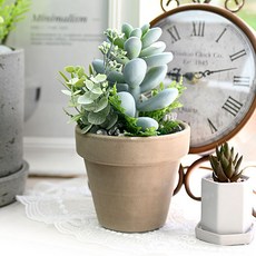 Garden in the City 和諧自然的多肉植物 4850132, 混色, 1個