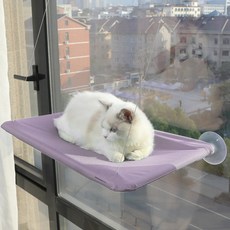 DING DONG PET 貓咪天空窗戶吊床, 紫色