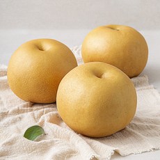 원농산 당도선별 신화배 3~4입, 2kg, 1개