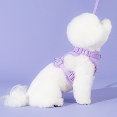 펫트리움 강아지 편안 하네스 + 핸즈프리 리드줄 2.5m 세트, 1세트