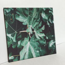 HTP 磁磚 薩利島的樹葉 C1963, 1個