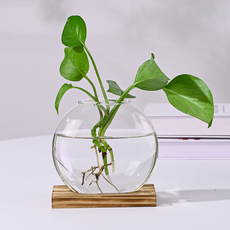 恩熙魔法 現代感性水培植物兩用花瓶 單入, 混合色