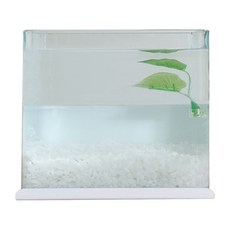 Aquatera 隔板懸掛式魚缸套組 45mm, 白色（魚缸）