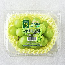 굿데이 당도선별 15brix 비파괴 샤인머스캣, 500g, 1개