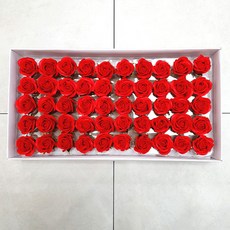 EPLYN 香皂花 迷你佳娜玫瑰 50入, 紅色, 50個