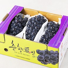 춘향애인 GAP 인증 남원 캠벨 포도, 1개, 1kg(3~4송이)