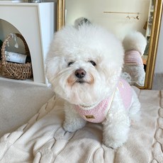 by潭秀美 狗狗柔軟刺繡睡眠背心, 粉紅色