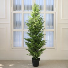 모리앤 에메랄드 조화나무 150cm, 그린, 150cm, 1개