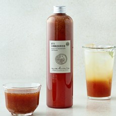 손스 수제 패션프루츠청, 600ml, 1개