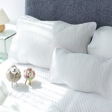 레시앙뜨 매일 갈아 쓰는 순면 피그먼트 밴드형 베개커버 2p