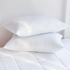 몽쉐어 베이직 베개솜 지퍼형, 화이트, 2개