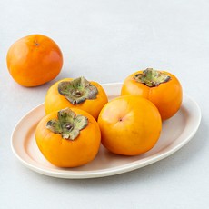 올푸릇 저탄소 단감 중과 5입, 1개, 1kg