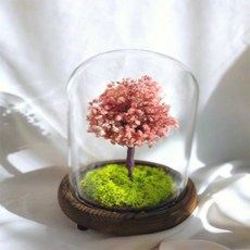 永生乾燥花 金色LED基本型 M, 櫻花粉