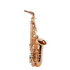 삼익악기 색소폰, 골드, A-900GD, 1개