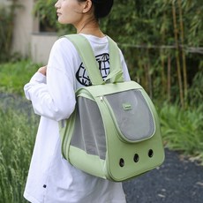 Chilsi 寵物方形後背包, 1個, 綠色