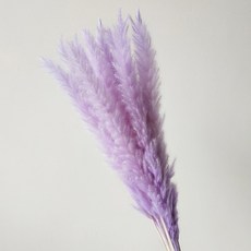 제이엠 조화 소갈대 2p, 연보라