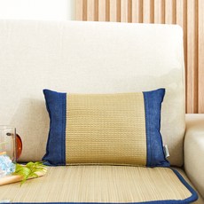 Modern House 水草坐墊