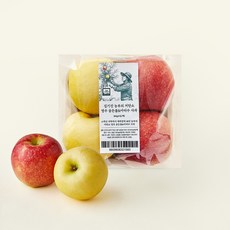 김기진농부 저탄소 인증 영주 골든볼 아리수 사과, 800g, 1개