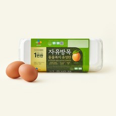 CJ 동물복지 인증 자유방목 유정란 1번란 520g, 1개, 10구