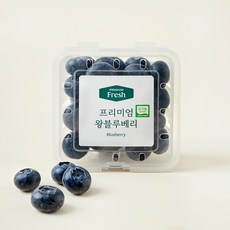 프리미엄 유기농 왕블루베리, 1개, 100g