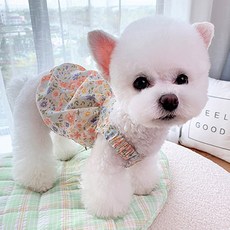 petitdog 花朵印花寵物背心 DST069, 象牙