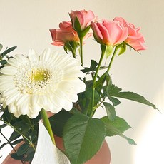 프레시가든 생화 미니 트로피 꽃다발, 핑크