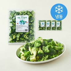 웰프레쉬 스페인산 브로콜리 (냉동), 5개, 2kg