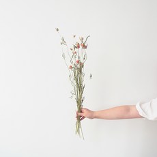 GAPANG 乾花 DRYB102 千日紅, 橙色數字 01