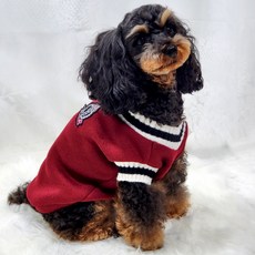 Petca 寵物牛津V領針織衫, 紅色, 1個