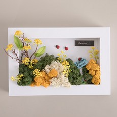 flowertree 山茱萸斯堪地亞相框 B套組 黃色 P, 1套