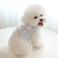 ITS DOG 狗狗克洛伊花呢胸背帶, 1個, 藍色