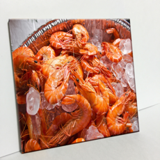 HTP 磁磚 C2618 蝦