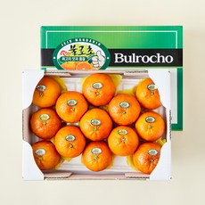 불로초 프리미엄 블러드 오렌지, 1개, 2kg