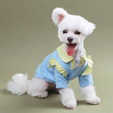 petit dog 寵物果凍荷葉邊T恤 DT065, 藍色