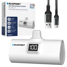 블라우풍트 LED 도킹형 고속충전 보조배터리 5000mAh, WHITE, BLP-PB615W