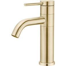 BLUEWATER 優質不銹鋼 SUS304 浴室洗臉盆水龍頭出水嘴旋轉金色, 1個