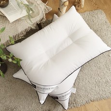 I'm Living 黑色滾邊厚實超細纖維棉填充枕芯, 白色, 2個