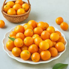 제이드가든 금귤, 1개, 1kg