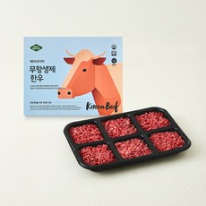 베리네이처 무항생제 인증 한우 다짐육 2번다짐 (냉장), 1개, 300g