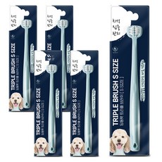 DING DONG PET 寵物三重刷毛牙刷 小型, 5個, 混合顏色