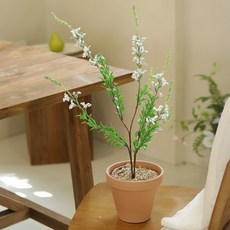 센트바스켓 설유화 조화 + 화분 세트, 화이트, 1세트