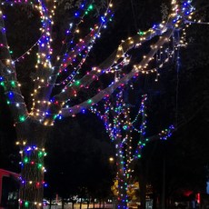 Dometopia 含電源插孔 可連接透明線 LED 彩色精靈燈串 100燈 10m, 1個, 混合顏色